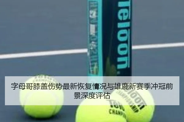 字母哥膝盖伤势最新恢复情况与雄鹿新赛季冲冠前景深度评估